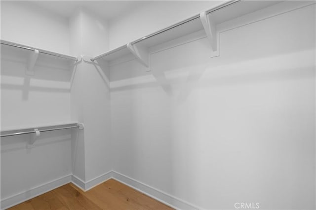 spacious closet featuring light wood-type flooring