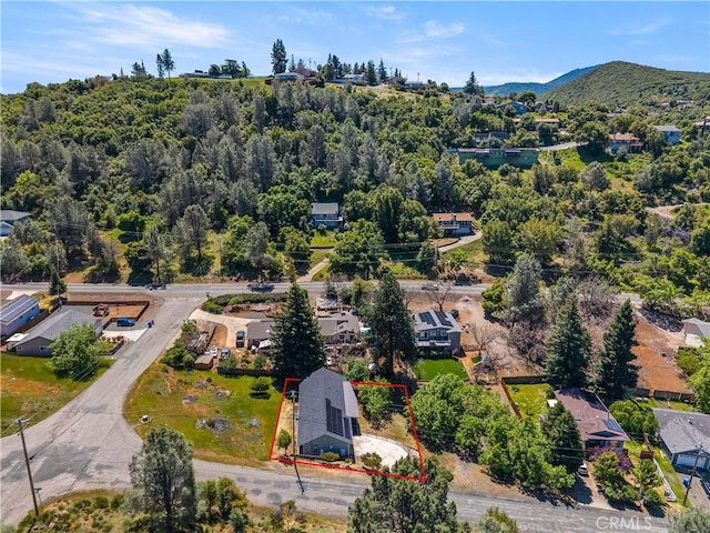 10075 El Capitan Way, Kelseyville, CA 95451 - photo 37