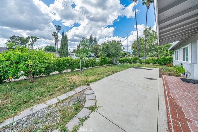 view of yard featuring a patio area