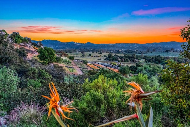 property view of mountains