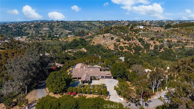 2465 Via Oeste Dr, Fallbrook, CA 92028 - aerial view of property's location