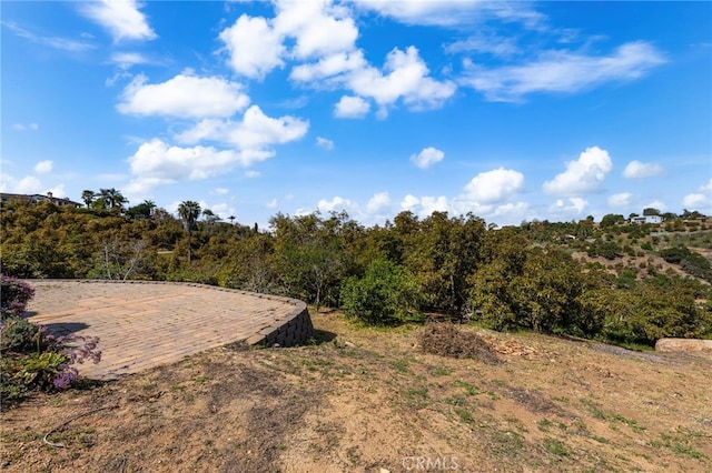 2465 Via Oeste Dr, Fallbrook, CA 92028 - view of yard