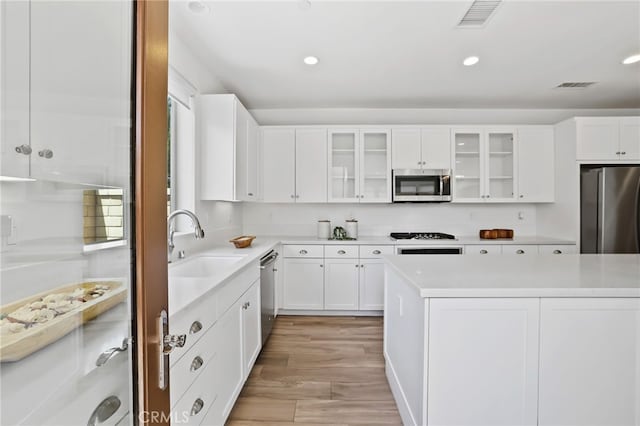 kitchen with a sink, light countertops, stainless steel appliances, and visible vents