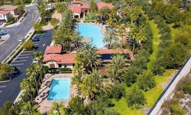 aerial view