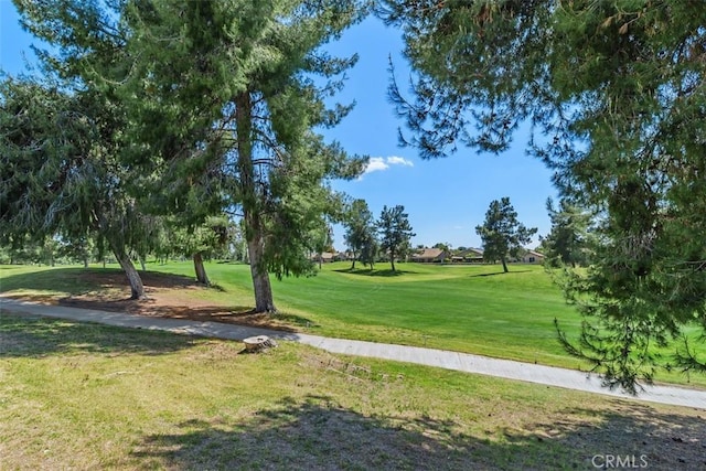 view of community featuring a yard and golf course view