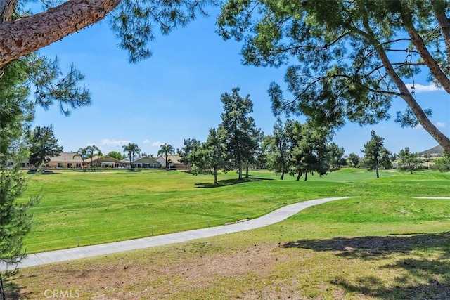 surrounding community featuring a yard