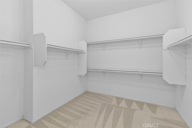 walk in closet featuring carpet floors