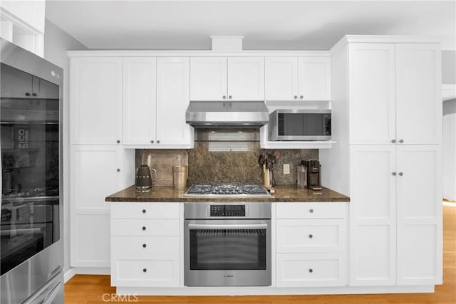 kitchen featuring appliances with stainless steel finishes, tasteful backsplash, dark stone countertops, under cabinet range hood, and white cabinetry