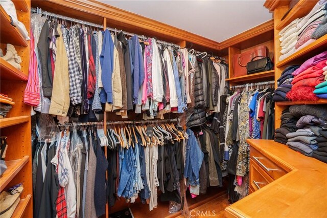 walk in closet with wood finished floors
