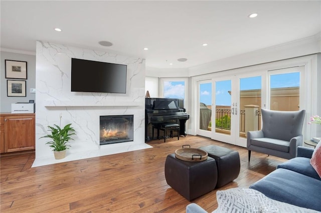 living room with crown molding, plenty of natural light, wood finished floors, and a premium fireplace