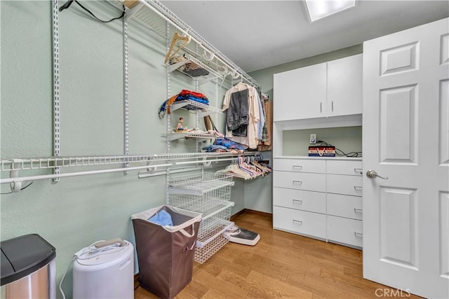 spacious closet featuring light wood finished floors