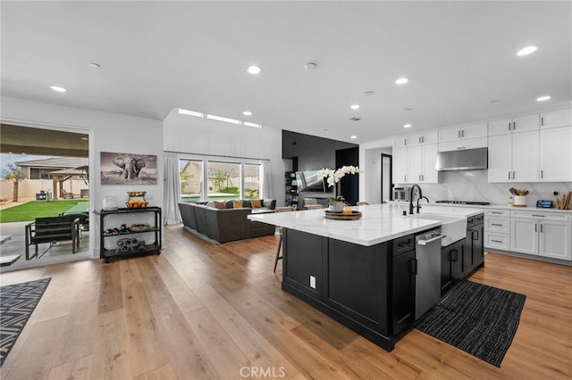kitchen with stainless steel dishwasher, a sink, dark cabinetry, under cabinet range hood, and white cabinetry