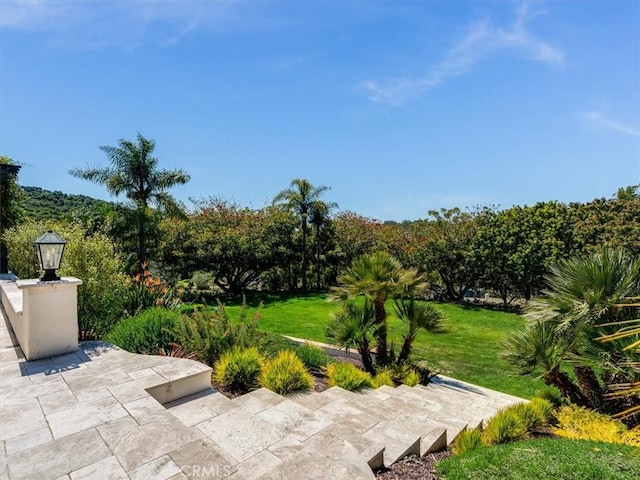 view of home's community featuring a patio and a yard
