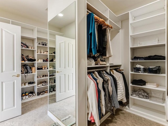 spacious closet featuring carpet floors