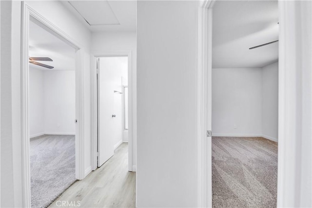 hall with baseboards and carpet floors