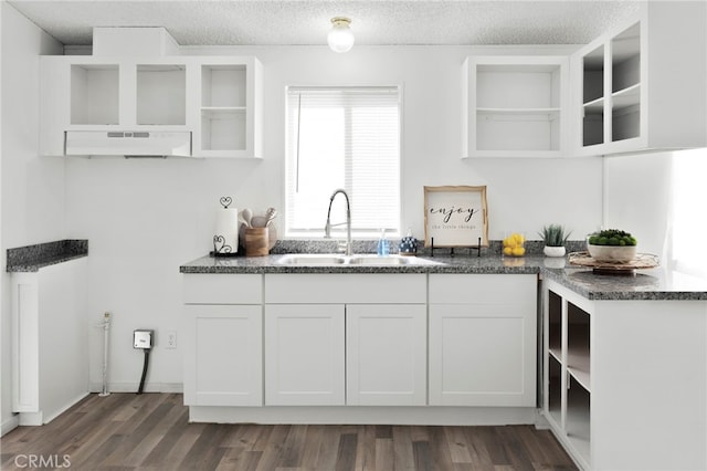 12859 Danbury St, Whitewater, CA 92282 - kitchen featuring open shelves, a sink, under cabinet range hood, and a textured ceiling