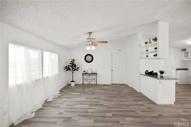 12859 Danbury St, Whitewater, CA 92282 - interior space with a textured ceiling, ceiling fan, wood finished floors, and vaulted ceiling