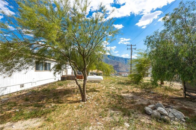12859 Danbury St, Whitewater, CA 92282 - photo 34