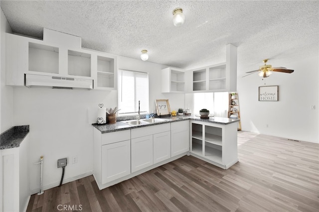 12859 Danbury St, Whitewater, CA 92282 - kitchen featuring open shelves, under cabinet range hood, a sink, wood finished floors, and a textured ceiling
