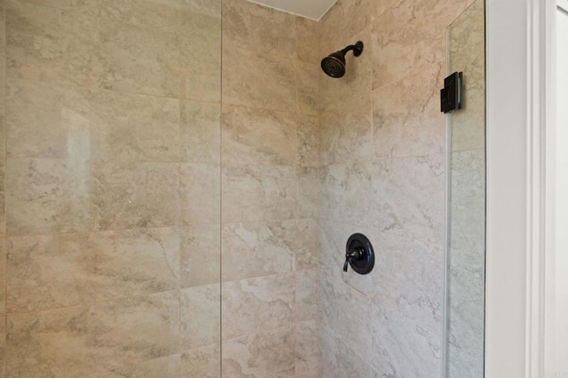 room details featuring tiled shower