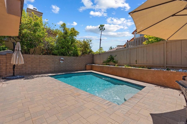 view of pool featuring a patio, a fenced backyard, and a fenced in pool