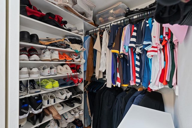 view of spacious closet