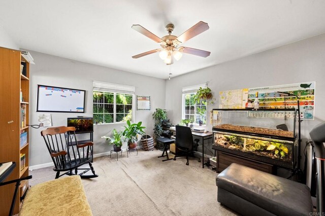 441 Bougher Rd, San Marcos, CA 92069 - photo 42