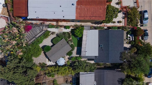 drone / aerial view