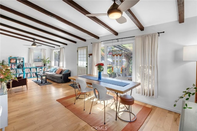 dining area with vaulted ceiling with beams, a ceiling fan, and light wood-style flooring