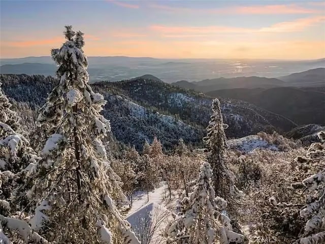mountain view