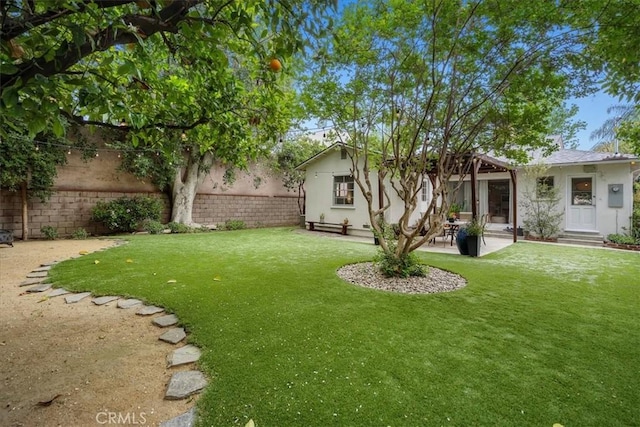 view of yard with a fenced backyard, a patio area, and entry steps