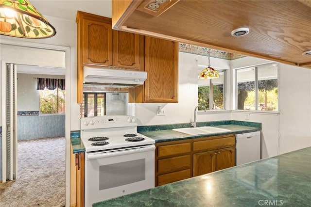 kitchen with a sink, brown cabinetry, under cabinet range hood, and white appliances