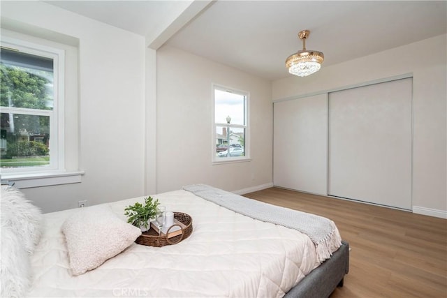bedroom featuring baseboards, multiple windows, and wood finished floors