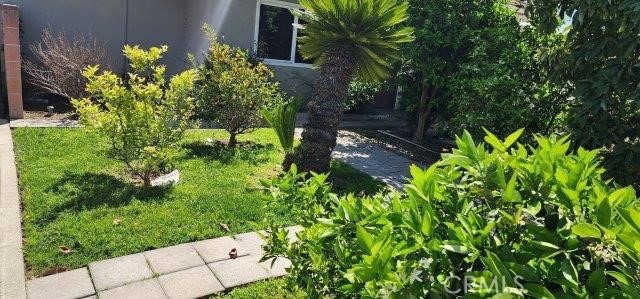 15220 Terracedale Dr, La Mirada, CA 90638 - view of yard