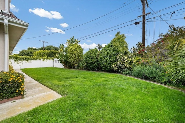 view of yard