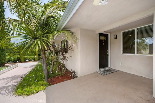 doorway to property featuring a patio and stucco siding