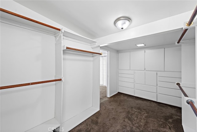 walk in closet featuring dark colored carpet