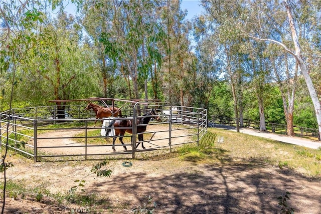 view of stable with a rural view