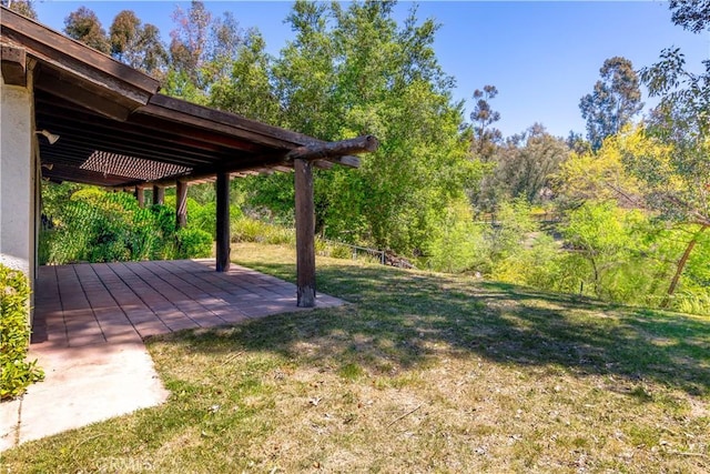 view of yard featuring a patio area