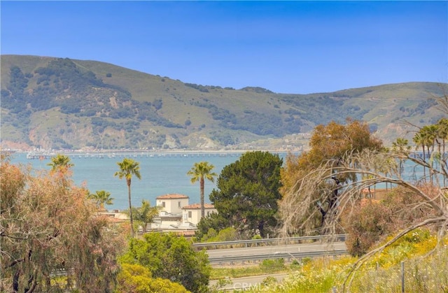 property view of mountains with a water view