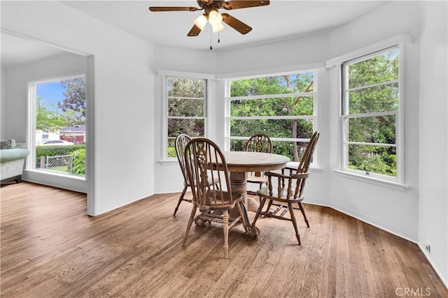 dining space featuring a ceiling fan, wood finished floors, and a wealth of natural light