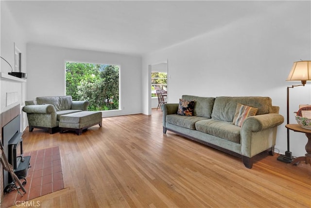 living room featuring a fireplace with flush hearth and wood finished floors