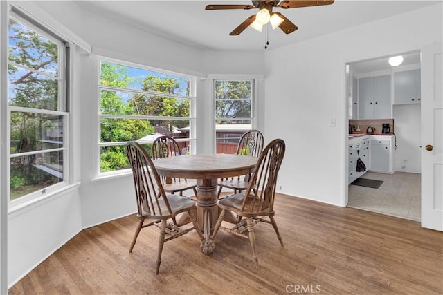 dining space featuring ceiling fan and light wood-type flooring