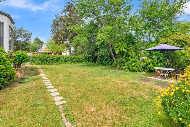 view of yard