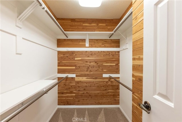 spacious closet with carpet floors
