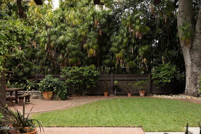 view of yard featuring fence and a patio