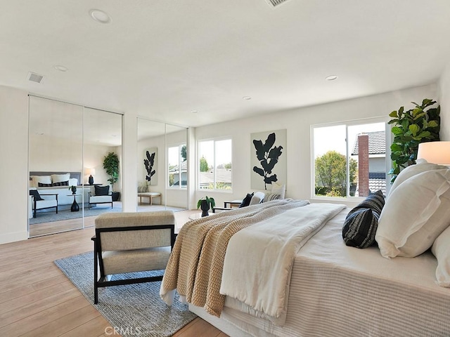 bedroom with light wood-type flooring, two closets, visible vents, and multiple windows
