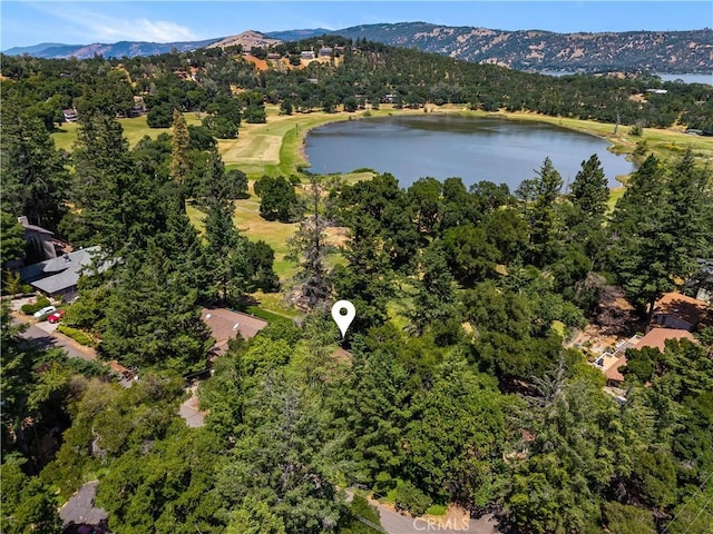 2944 Buckingham Dr, Kelseyville, CA 95451 - photo 55