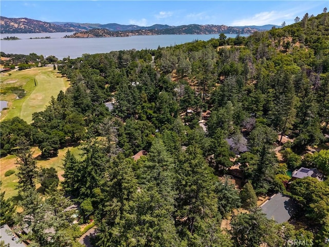 2944 Buckingham Dr, Kelseyville, CA 95451 - photo 62