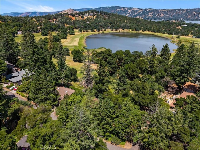2944 Buckingham Dr, Kelseyville, CA 95451 - photo 56